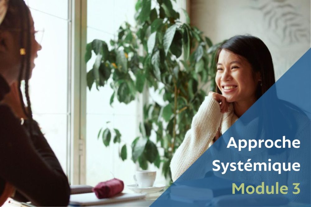 Module 3 : Développer ses compétences stratégiques dans le cadre de l’aide sous contrainte